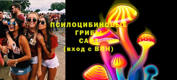 первитин Белокуриха