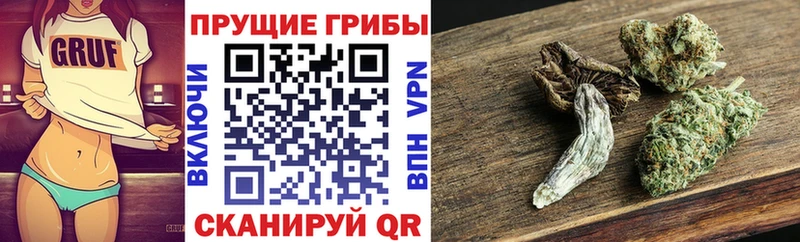 Галлюциногенные грибы Psilocybine cubensis  Ершов 