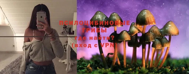 OMG зеркало  Ершов  Псилоцибиновые грибы Magic Shrooms 